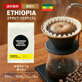 送料無料 コーヒー豆 スペシャルティコーヒー 浅煎り エチオピア イルガチェフェ G1 250g / 500g / 1kg / 2kg 豆のまま 4種から選べる コーヒー 珈琲 スペシャリティコーヒー [C] TCR