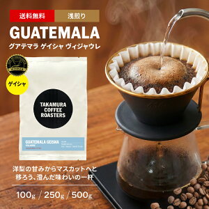 �� �R�[�q�[�� �X�y�V�����e�B�R�[�q�[ ����� �O�@�e�}�� �Q�C�V�� ���B�W���E�� COE #7th GUATEMALA COE Geisha Villaure 100g / 250g / 500g ���̂܂� 3�킩��I�ׂ� �J�b�v�I�u�G�N�Z�����X �R�[�q�[ ����