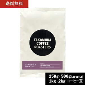  R[q[ XyVeBR[q[ OAe} uGirX^ Guatemala Buena Vista 250g / 500g / 1kg / 2kg ̂܂ 4킩Iׂ R[q[  XyVeBR[q[ [C] TCR