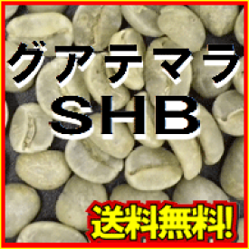 コーヒー 生豆 グアテマラ SHB 20kg 送料無料 (5kgx4)
