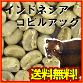 コーヒー 生豆 コピ ルアック 100g
