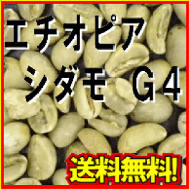 コーヒー 生豆 エチオピア シダモ G-4 20kg 送料無料 (5kgx4)