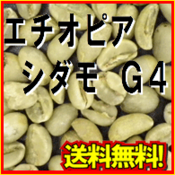 コーヒー生豆】モカ シダモ エチオピア 5kg ※送料無料！！ 【公式通販】