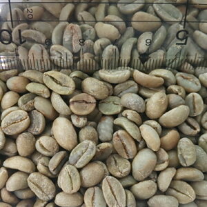 R[q[  G`IsA V_ G-4 / 30kgyfor Professionalz(15kgx2)