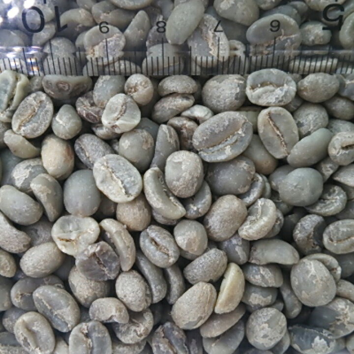 楽天市場】コーヒー 生豆 タンザニア #AA 10kg 送料無料 (1kgx10 