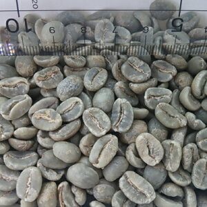 R[q[  OAe} SHB 30kg yfor Professionalz (15kgx2)