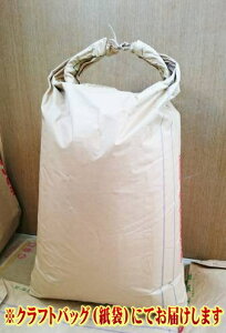 R[q[  ChlVA uX^ AP-1 20kg  (20kgoN)