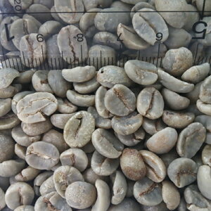 R[q[  uW TgX No.2 / SC-18 30kg yfor Professionalz(15kgx2)