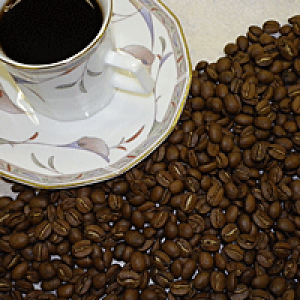 ym߂̃M[R[q[Zbgz@[X^[YZNg@yz