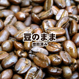 送料無料 コーヒー豆 マンデリン 100g 森林やハーブのような香り！ インドネシア・スマトラ・マンデリンG1スペシャル 中深煎り コーヒー 珈琲豆 業務用 ドリップ メール便 ポイント消化 内祝い お祝い お中元ギフト 御中元 花以外 コーヒー粉 こーひー豆 お中元人気