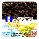 コーヒー豆 深煎り グアテマラ ガテマラ 送料無料 柑橘系のシトラスフルーツの香りに豊かなコクとキレ グァテマラSHB 深煎り フレンチロースト 250g メール便 コーヒー豆 アラビカ豆 コヒー豆 ポイント消化 内祝い お歳暮コーヒー お歳暮人気 お歳暮ギフト コーヒー粉