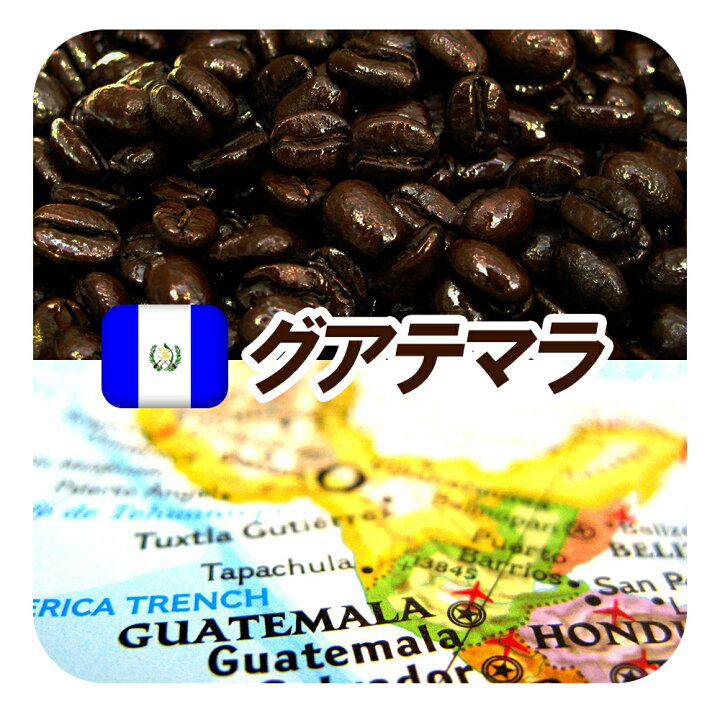 楽天市場 グアテマラ ガテマラ 送料無料 柑橘系のシトラスフルーツの香りに豊かなコクとキレ グァテマラshb 深煎り フレンチロースト 250g メール便 コーヒー豆 レギュラーコーヒー アラビカ豆 コヒー豆 ポイント消化 深煎りコーヒー豆 内祝い 敬老会 お歳暮 御歳暮