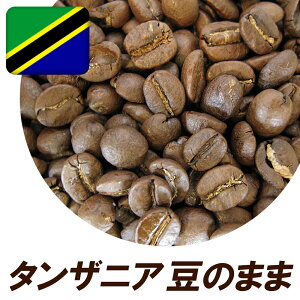  R[q[@L}W 120g iȎ_ƍ̂悤ȊÂI ^UjAEAAiL}Wj yR[q[ 蓤 hbvzy[ցz j Ԃ Ε