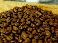 �����ҡ�Ʀ��������ӥ��å����ҡ�Ʀ����̵�������Ρå����ҡ��Ф���Ź