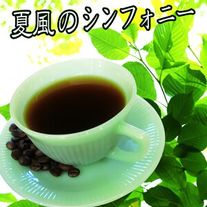  Gߌuhwĕ̃VtHj[x-300g- [ M[R[q[ ArJ Rq[ |Cg j ΕR[q[ ΕlC ΕMtg  ΕR