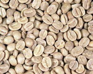 yyV|Cg10{zR[q[O@e}ESHB 300g