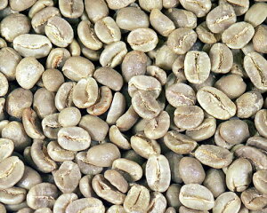 yyV|Cg10{zR[q[RrASPEXv 300g