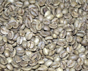 yyV|Cg10{zJtFCXER[q[RrASPEXv300g