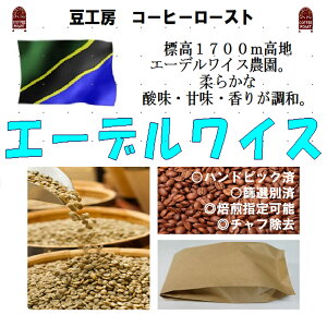 ^UjA@G[fCX 500g R[q[ 