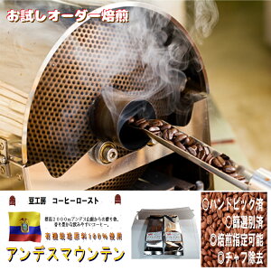 コーヒー豆 送料無料 173 g(生豆)- アンデス マウンテン (焙煎により10%程度減少します。)1 家カフェ で 美味しい おいしい スペシャリティー コーヒー 2 焼き立て 香り の コーヒー豆