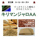 タンザニア キリマンジャロ AA 生豆500g ---コーヒー豆 送料無料