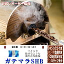 コーヒー豆 送料無料　お試し1000円 生豆 168g グアテマラSHB （焙煎により浅煎り10％深入り20％前後減少します。）1 家カフェ で 美味しい おいしい スペシャリティー コーヒー 2 焼き立て 香り の コーヒー豆 を クイックポスト で お届け コーヒーロースト