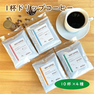 y1thbvF40܁z hbvpbN 4ނ̂߃Zbg  {iR[q[ X  VN   lC b Mtg v[g  j o[Xf[ I[Kj