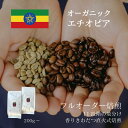 【オーガニック】 エチオピア ／ コーヒー豆 コーヒー 有機 JAS有機 自家焙煎 珈琲豆 焼きたて 煎りたて 安い 深煎り 浅煎り オーダー 本格コーヒー 焙煎屋 焙煎店 コーヒー屋 選べる 焙煎 豆 粉 コーヒー粉 お取り寄せ 人気 話題 エチオピア産 送料無料