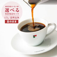 お好きなスペシャルティコーヒーが選べる焙煎発送セット【豆のまま】【500g×3パック】1.5kg【送料込み】…