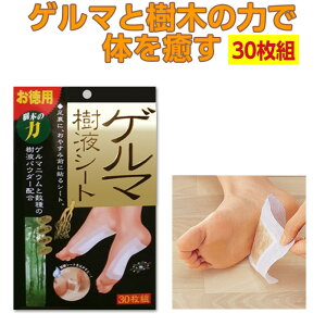 V[g tV[g e30 L@ Q}jE sP NlQ ||t g} I[KjbN 8×6.5cm ŒV[g12×9.5cm   I Ђ  Ɖu Q}tV[g 30g RWbg 