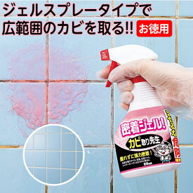 楽天市場 カビ取り ゴムパッキンの通販