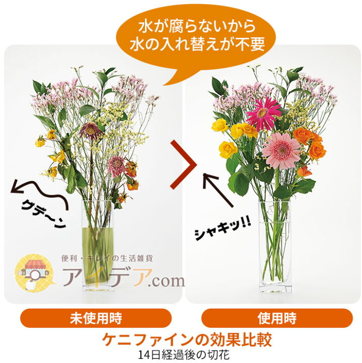 楽天市場 花 長持ち 切り花 便利グッズ 抗菌 チェーン 日本製 お花長持ち抗菌チェーンkareneese ケニファイン 効果約2年 水の腐敗を防ぐ 花瓶に入れるだけ お仏壇 お墓 献花筒 水耕栽培 雑菌の繁殖を防ぐ メール便 C コジット アイデア Com