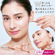フェイスポインター ポス活 ポインター ケア バネ式 マッサージ かっさ 美顔ローラー Wボールヘッド 簡単…