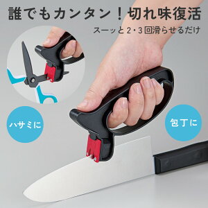  nT~  ؂ꖡ h u y ȒP _ChHn RpNg ₷  _ChWV[vi[ [RWbg]