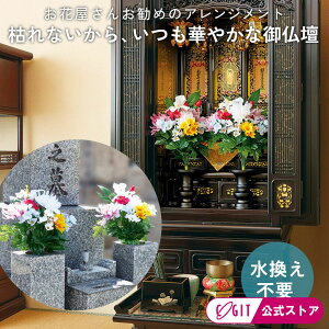    d   ͂Ȃ GR ԉ ԓ ԉ񂪍l 2g RWbg