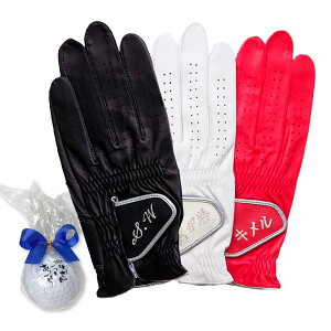   I[_[[h ̓ St O[u bZ[WSt{[ 1t Mtg rv { {v  St{[ I[_[ChO[udăZbg v`iMt