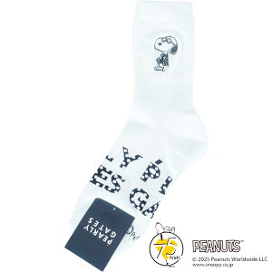 yMVP܁zp[[QCc ~h\bNX Y SNOOPY St Xk[s[ PEARLY GATES 2025H~