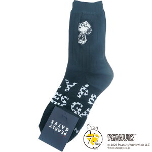 yMVP܁zp[[QCc ~h \bNX fB[X SNOOPY St PEARLY GATES 2025H~