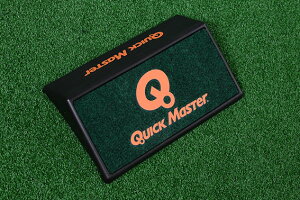 yMVP܁zSt K yNCbN}X^[z XEF[h~ SWAY PROTECTOR K@