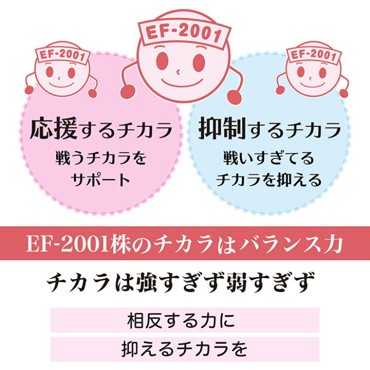 楽天市場】ベルムア150 50包パック EF-2001株乳酸菌 腸活 美腸 オマケ 
