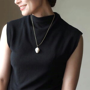 Wp[ y_g 嗱 obN Ȓ` T[WJXeX `F[t AM[Ή fB[X / pe-057