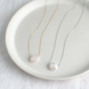 Ԃт̂悤 X[y_g Wp[ T[WJXeX 40cm / W^ AM[Ή ig tH[} ̓ Mtg / pe-148