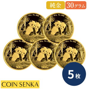 �����[�ǐՉ� ���� 2026 �p���_ 500�� 30�O���� ���� �y5���z