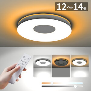 �y 10%OFF�zLED �V�[�����O���C�g 6�� 8�� RGB ���C�g ������� �ߓd �������F �k�� ��铔 �Ɩ� 10�� 12�� LED���C�g �ȃG�l �d�C ���邢 �V��Ɩ� �u���� �����R���t�� �X�}�zAPP �C���e���A �a�� �m