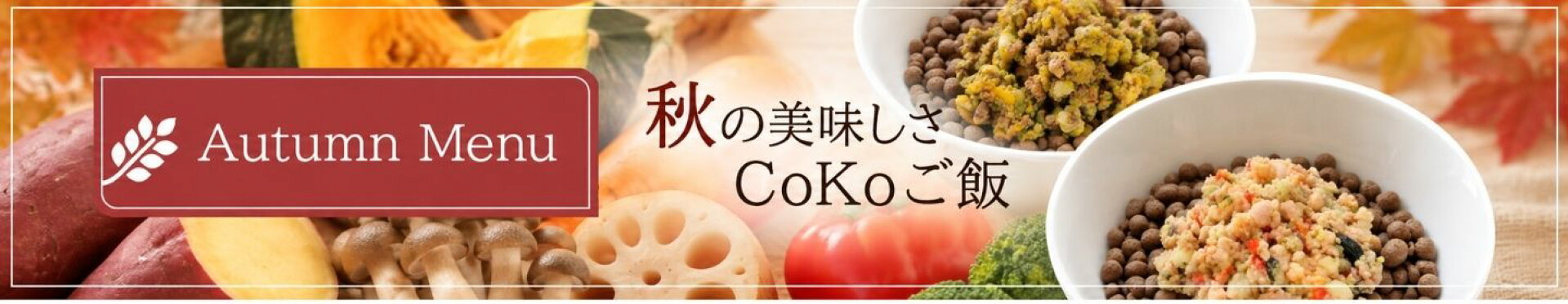 季節のご飯