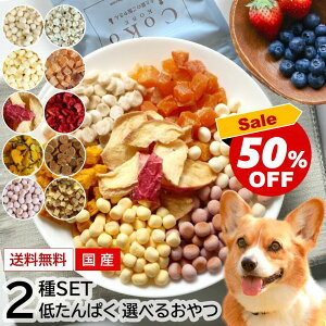  q  t Ⴝς ܂ ڂ    `[Y rXPbg Ⴝς ` ` ^pN ^pN ჊ t[h {[ Y Y 