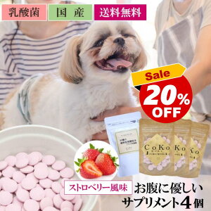  Tv Y Y _ Tvg y yf z̃TvZbg 53̐Ay (50g×1) Ɠ_ۃXgx[ (30g×3) t[h ybgt[h CoKo ƔL̂т₳