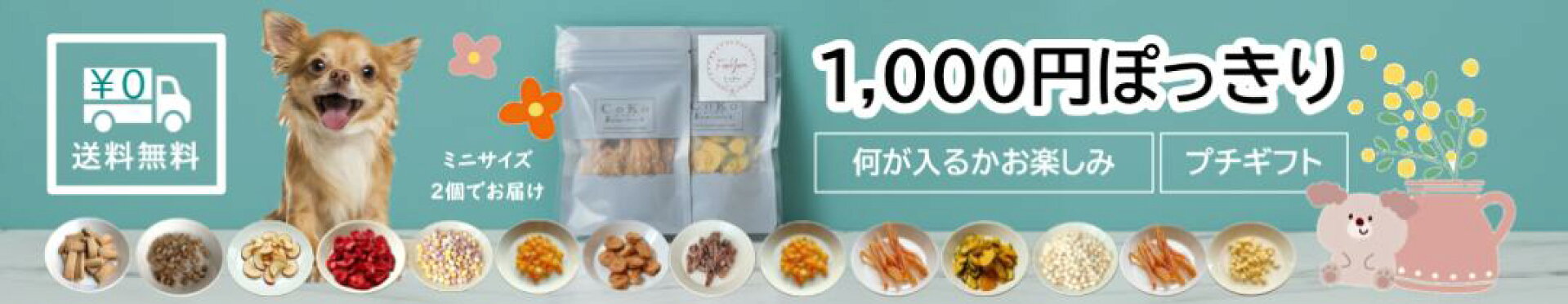 1000円ぽっきり