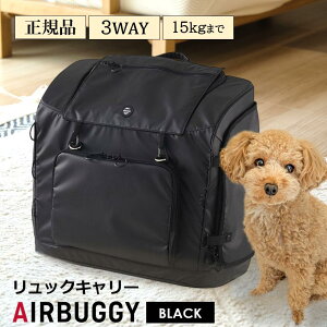 yyjz r[T bN L[ GAoM[ bN  L bN ChTCY bNL[ ybg ybgL[ Ki 3EFCobNpbNL[ 