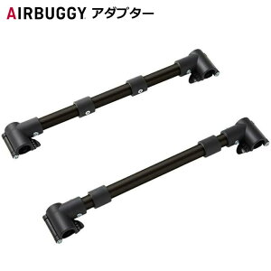 y[J[z  AIRBUGGY IWi GAoM[ h[2 / h[3 tpA_v^[ Pi [J[ Pi p[c ANZT[ airbuggy